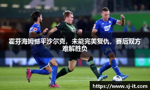 霍芬海姆憾平沙尔克，未能完美复仇，赛后双方难解胜负